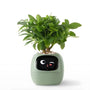Smart-Blumentopf | Automatisch App-Verbunden Universal Emojis Praktisch Süß-Grün-Luzern Mode