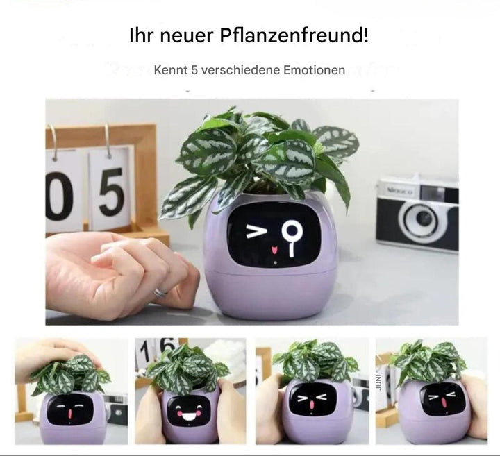 Smart-Blumentopf | Automatisch App-Verbunden Universal Emojis Praktisch Süß-Luzern Mode