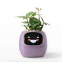Smart-Blumentopf | Automatisch App-Verbunden Universal Emojis Praktisch Süß-Lila-Luzern Mode