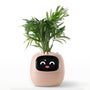 Smart-Blumentopf | Automatisch App-Verbunden Universal Emojis Praktisch Süß-Rosa-Luzern Mode