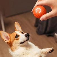 Hundeball | Interaktiv, Automatisch, Rollend, Wiederaufladbar, Langlebig, Fit-Luzern Mode