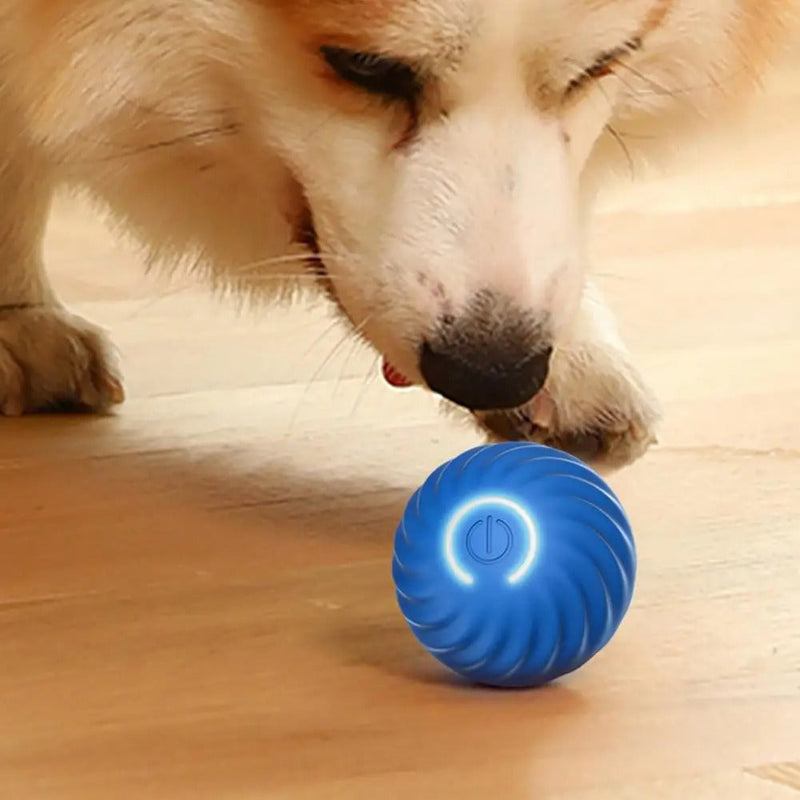 Hundeball | Interaktiv, Automatisch, Rollend, Wiederaufladbar, Langlebig, Fit-Blau-Luzern Mode