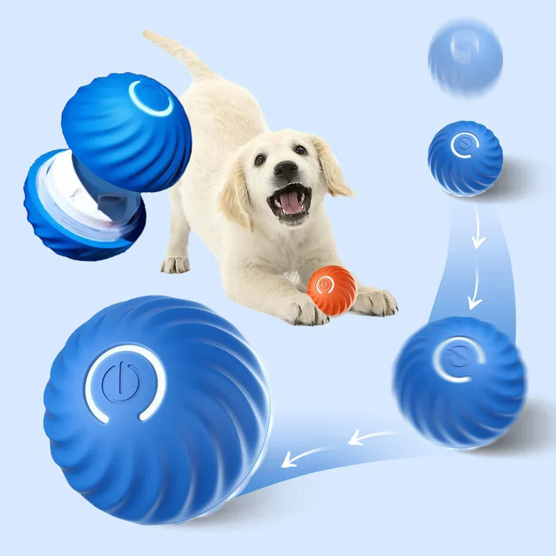 Hundeball | Interaktiv, Automatisch, Rollend, Wiederaufladbar, Langlebig, Fit-Luzern Mode
