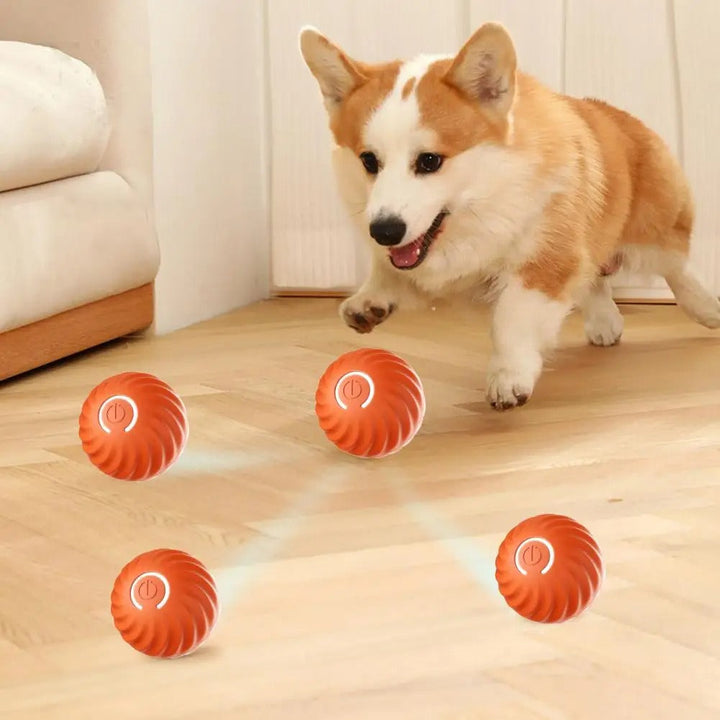 Hundeball | Interaktiv, Automatisch, Rollend, Wiederaufladbar, Langlebig, Fit-Luzern Mode