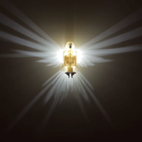 Wandleuchte mit Flügellichteffekt | Adler | Eule | LED | Nachhaltig-Adler-Luzern Mode