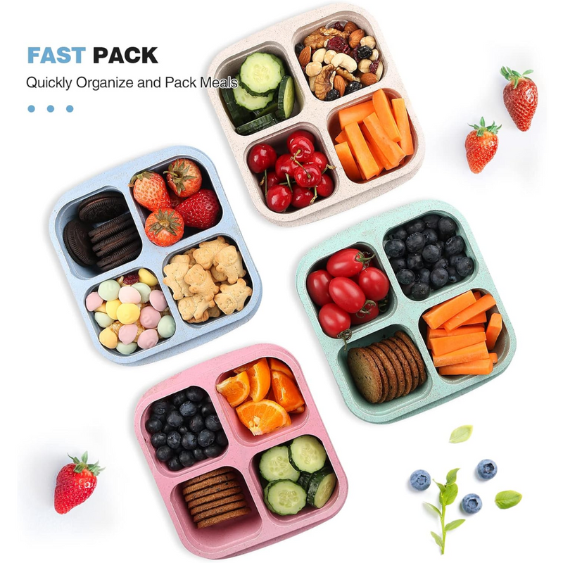 Lunchboxen | 4-teilig | 4-Fach | Langlebig | Wiederverwendbar | Geräumig | Portionen-Luzern Mode