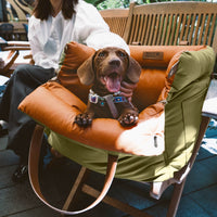 Hundeautositz | Luxus Bequem Sicher Tragbar Langlebig Rutschfest-Luzern Mode