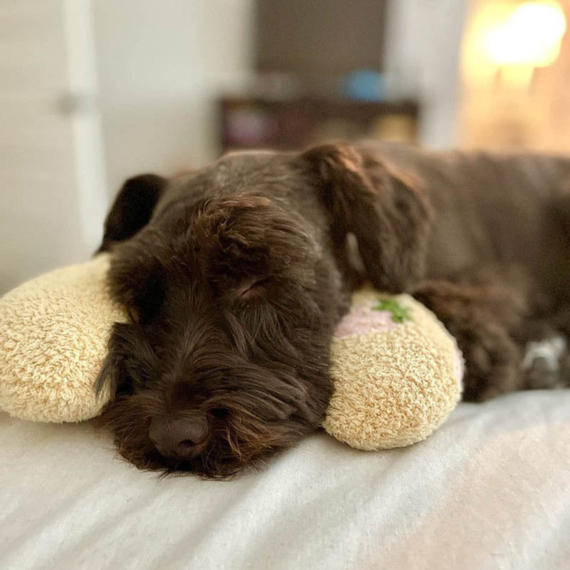 Hundekopfkissen | Bequem Ruhigend Waschbar Haltbar Weich-Luzern Mode