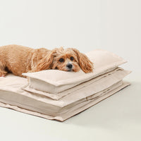 Hundebett | Beruhigend Stressreduzierend Komfortabel Weich-Luzern Mode