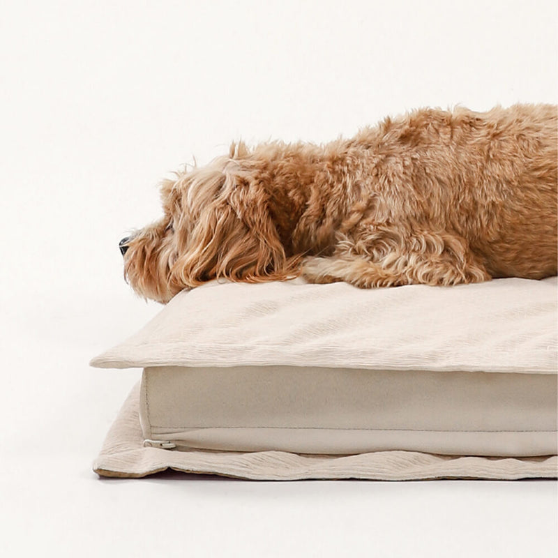 Hundebett | Beruhigend Stressreduzierend Komfortabel Weich-Luzern Mode