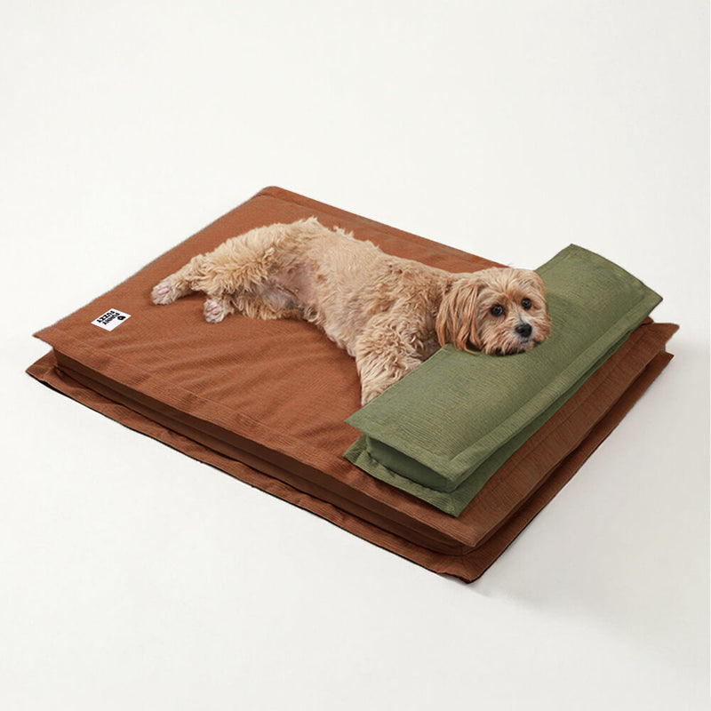 Hundebett | Beruhigend Stressreduzierend Komfortabel Weich-Orange-S-Luzern Mode