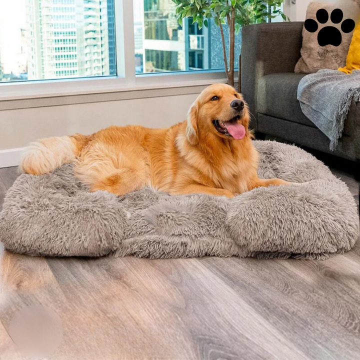 Hundebett | Memory Foam, Beruhigend, Komfortabel, Luxus, Vielseitig, Langlebig-Luzern Mode