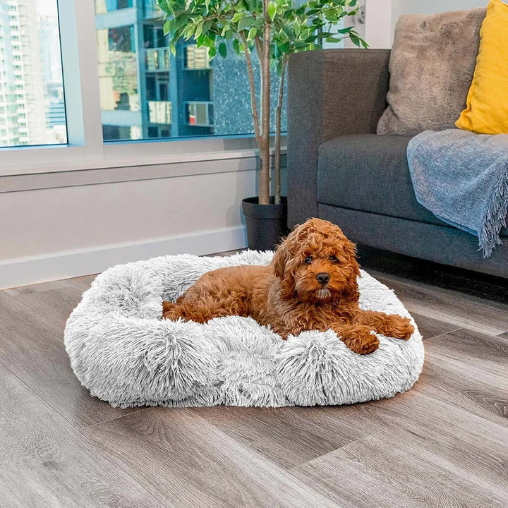 Hundebett | Memory Foam, Beruhigend, Komfortabel, Luxus, Vielseitig, Langlebig-Luzern Mode