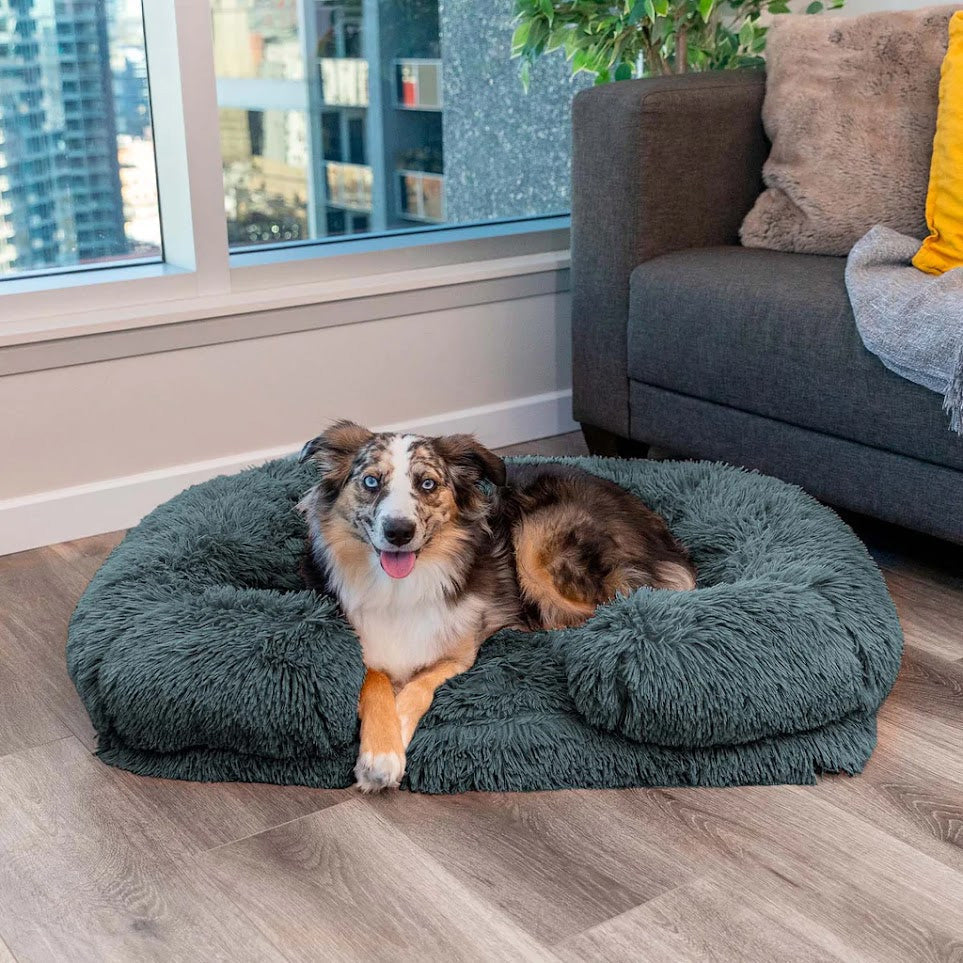 Hundebett | Memory Foam, Beruhigend, Komfortabel, Luxus, Vielseitig, Langlebig-Anthrazit-S-Luzern Mode
