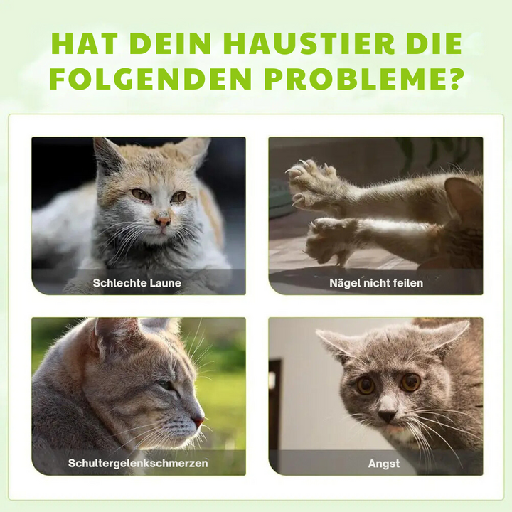 Katzenspray | Beruhigend, Silbertwein, Natürlich, Entspannend, Langlebig-Luzern Mode