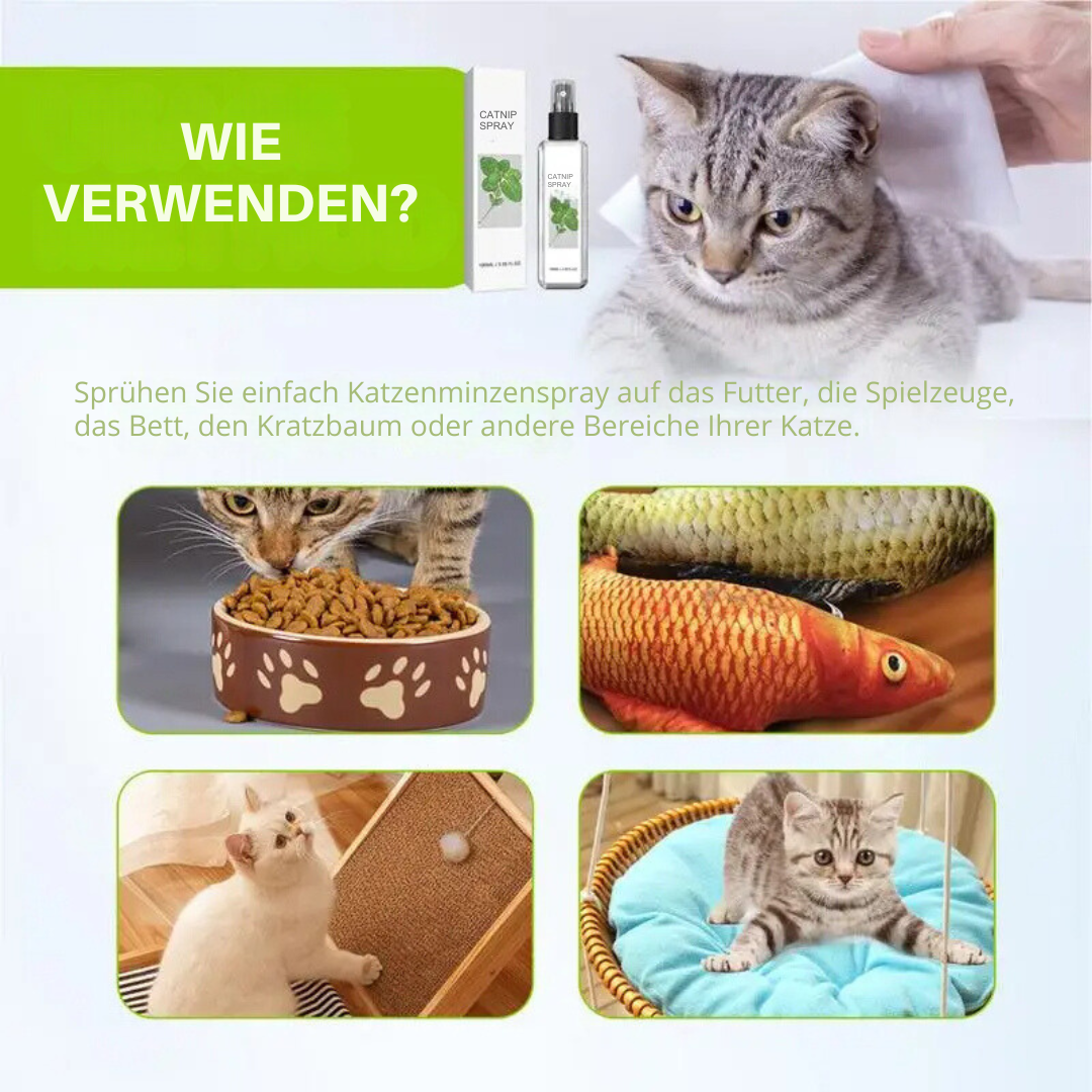 Katzenspray | Beruhigend, Silbertwein, Natürlich, Entspannend, Langlebig-Luzern Mode