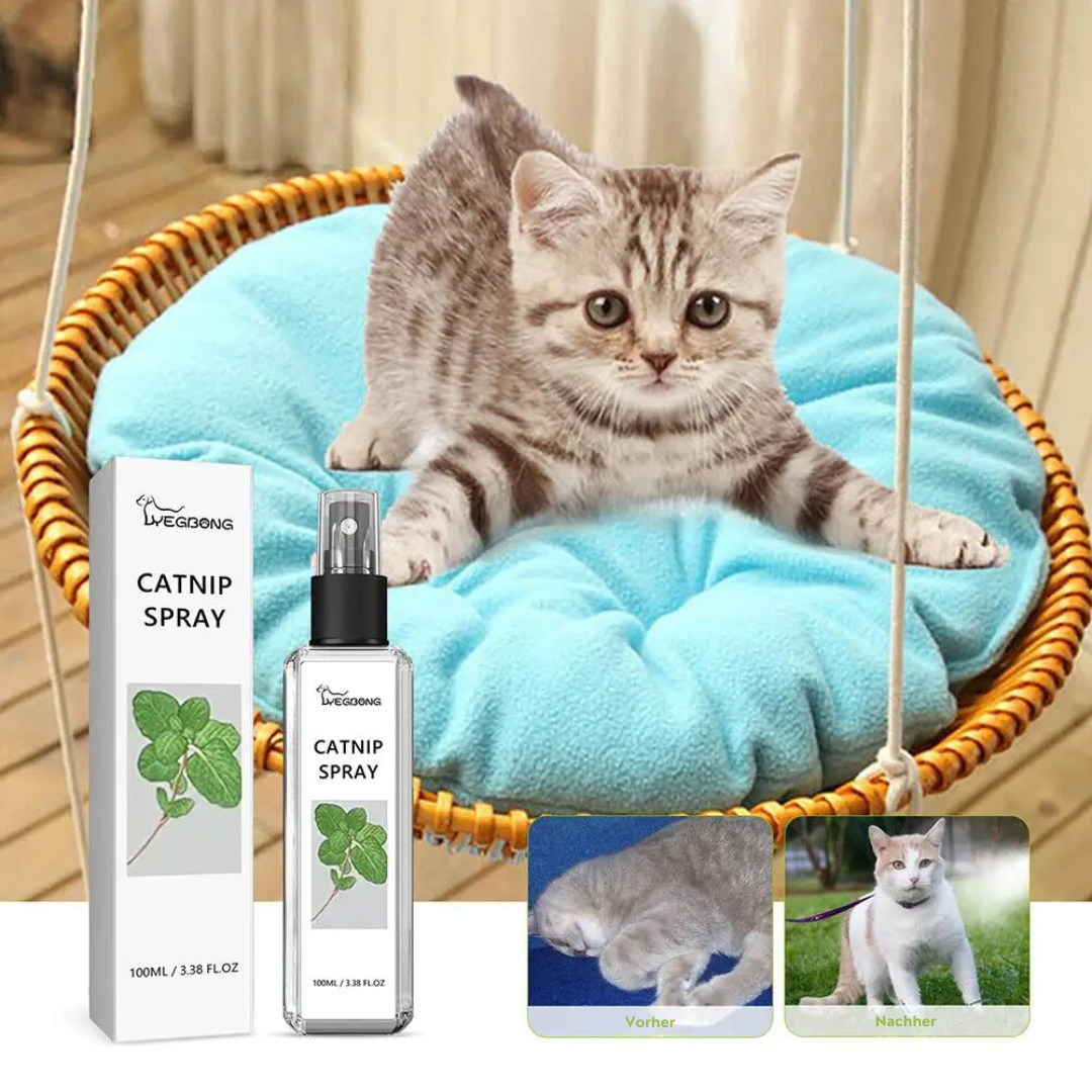 Katzenspray | Beruhigend, Silbertwein, Natürlich, Entspannend, Langlebig-Luzern Mode