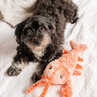 Spielzeug für Hunde | Bewegungssensor | Interaktiv | Spaß | Weich-Luzern Mode