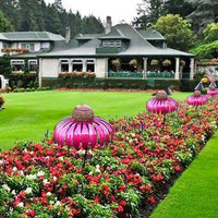 Vogelhaus | Blumenförmig Auffällig Farbenfroh Tierfreundlich-Luzern Mode