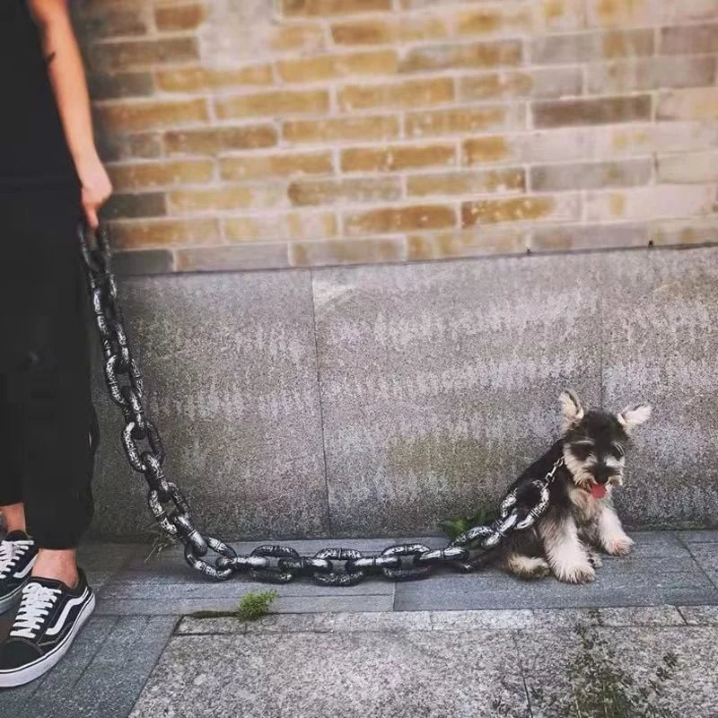 Hundeleine | Kette Cool Lustig Leicht Nachhaltig Einzigartig-Luzern Mode