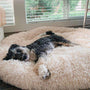 Beruhigendes Anti-Stress Hundekissen – Nuvio