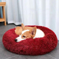 Beruhigendes Anti-Stress Hundekissen – Nuvio