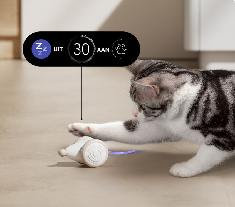 Kauspielzeug für Katzen | Interaktiv | Intelligente Energie | Bewegung-Luzern Mode