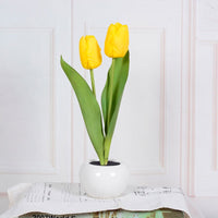 Tulpen Tischlampe | Dekorativ | Keramische Blumentopf | LED | Knopfzelle-Gelb-2-Luzern Mode