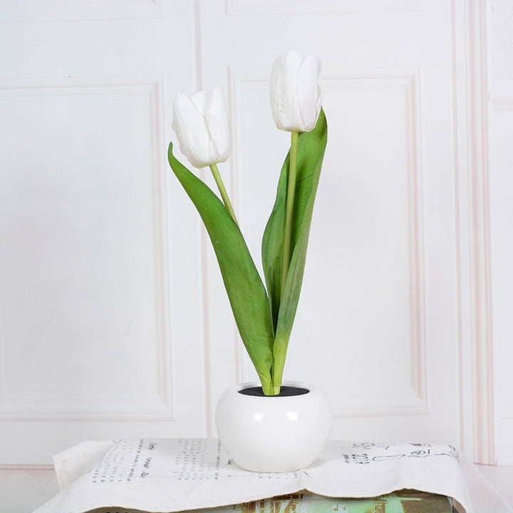 Tulpen Tischlampe | Dekorativ | Keramische Blumentopf | LED | Knopfzelle-Weiß-2-Luzern Mode