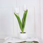 Tulpen Tischlampe | Dekorativ | Keramische Blumentopf | LED | Knopfzelle-Weiß-2-Luzern Mode