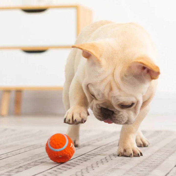 Spielball Hunde | Unzerstörbar | Sprungkraft | Stark | Flexibel-Luzern Mode