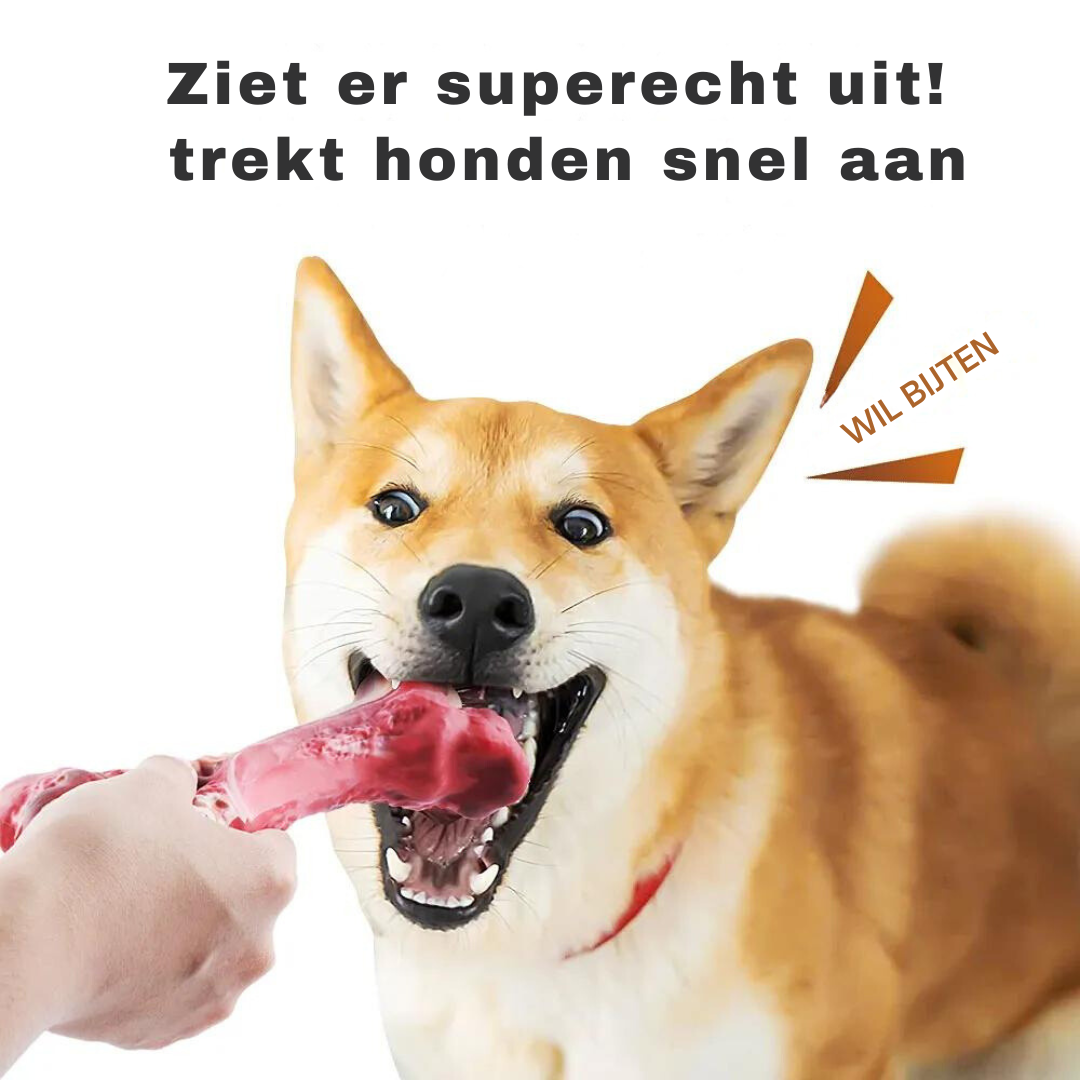 Tandverzorger voor Honden | Speelgoed | Tandverzorging | Speelplezier-Luzern Mode