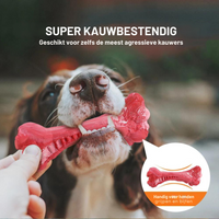 Tandverzorger voor Honden | Speelgoed | Tandverzorging | Speelplezier-Luzern Mode