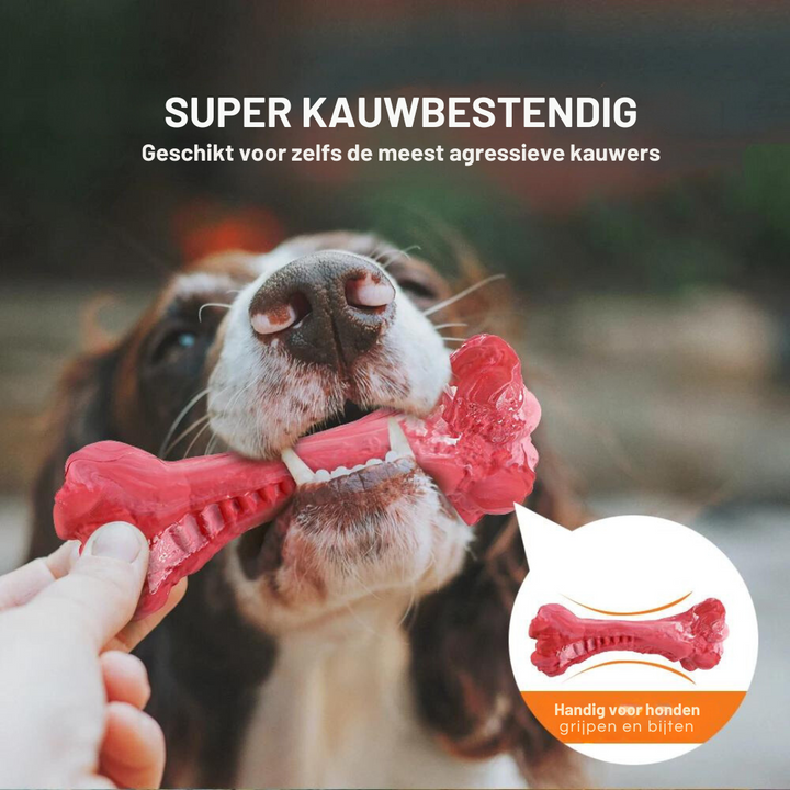 Tandverzorger voor Honden | Speelgoed | Tandverzorging | Speelplezier-Luzern Mode