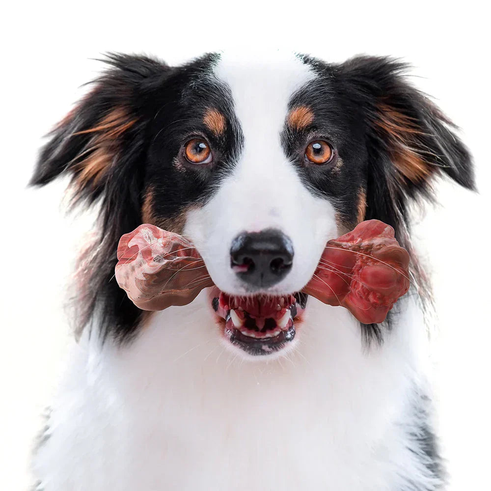 Tandverzorger voor Honden | Speelgoed | Tandverzorging | Speelplezier-Luzern Mode