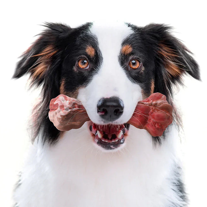 Tandverzorger voor Honden | Speelgoed | Tandverzorging | Speelplezier-Luzern Mode