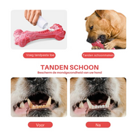 Tandverzorger voor Honden | Speelgoed | Tandverzorging | Speelplezier-Luzern Mode