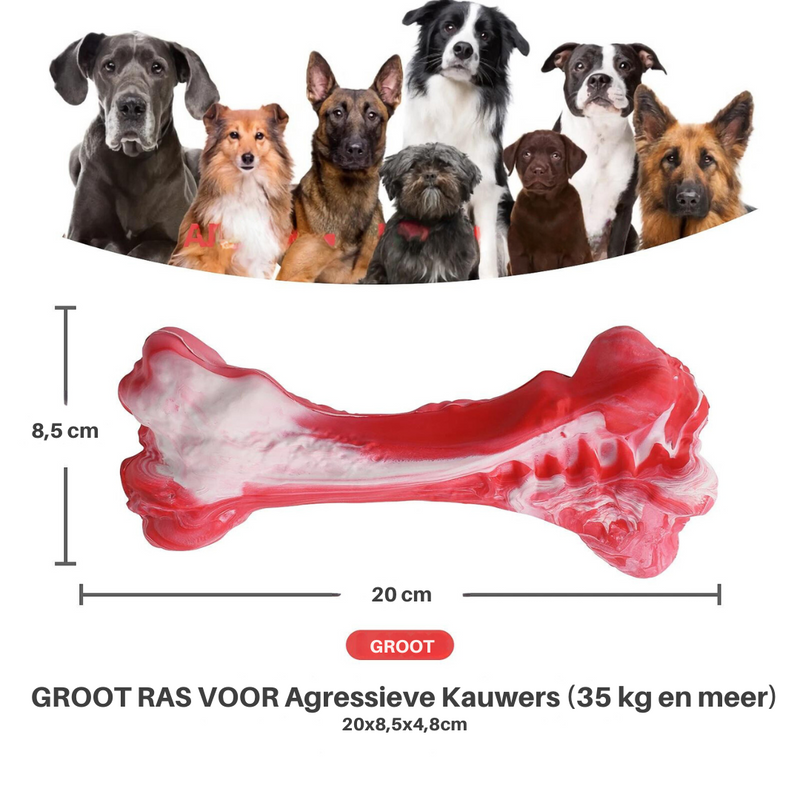 Tandverzorger voor Honden | Speelgoed | Tandverzorging | Speelplezier-Luzern Mode