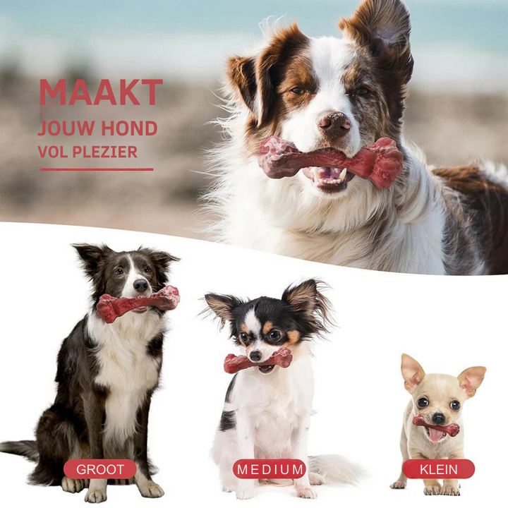 Tandverzorger voor Honden | Speelgoed | Tandverzorging | Speelplezier-Luzern Mode
