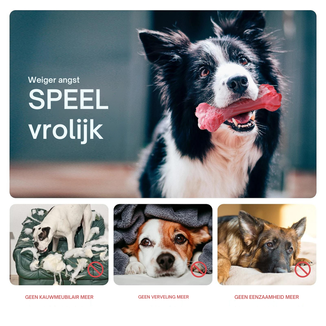 Tandverzorger voor Honden | Speelgoed | Tandverzorging | Speelplezier-Luzern Mode