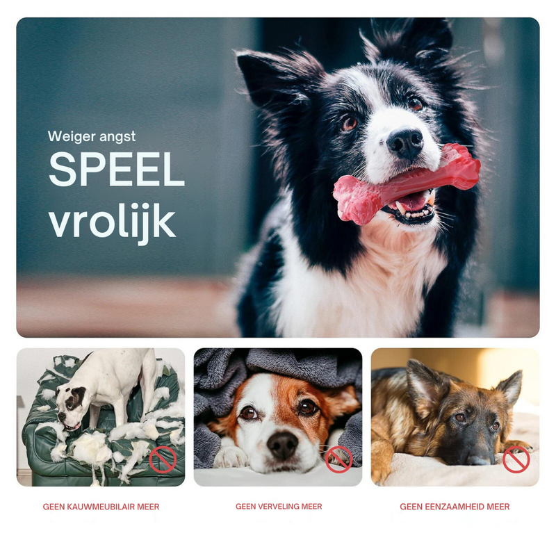 Tandverzorger voor Honden | Speelgoed | Tandverzorging | Speelplezier-Luzern Mode