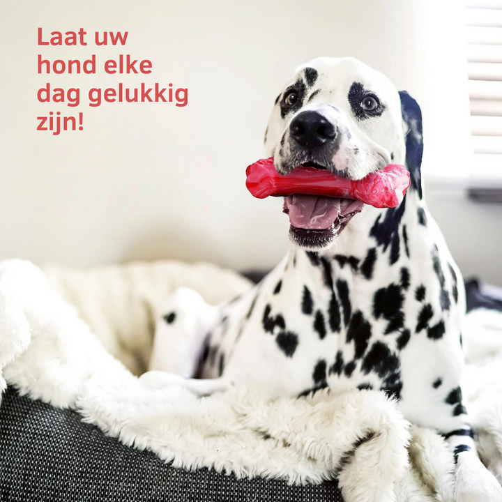 Tandverzorger voor Honden | Speelgoed | Tandverzorging | Speelplezier-Luzern Mode