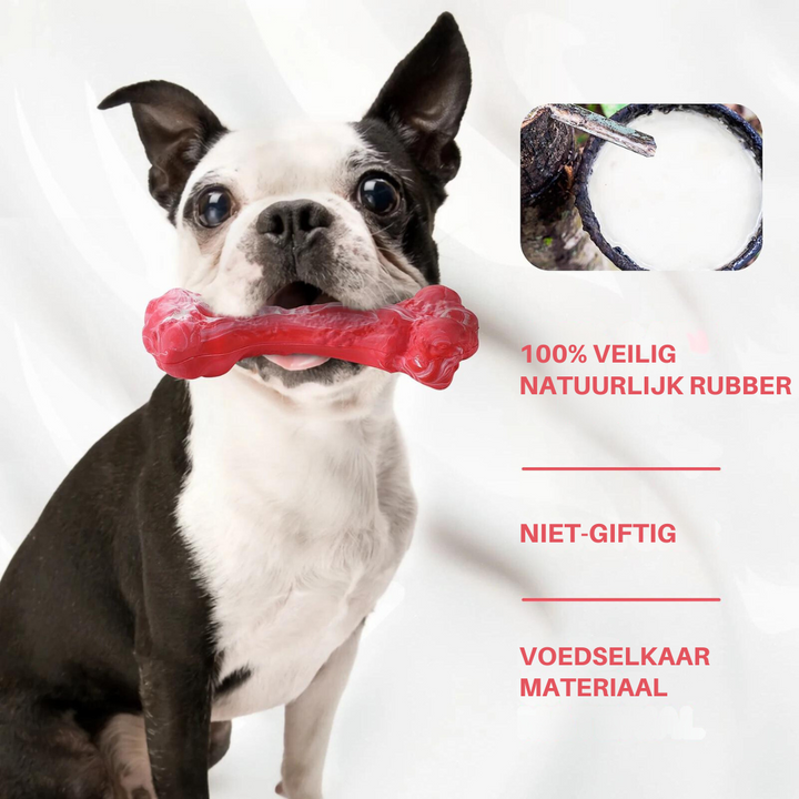 Tandverzorger voor Honden | Speelgoed | Tandverzorging | Speelplezier-Luzern Mode