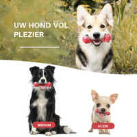 Tandverzorger voor Honden | Speelgoed | Tandverzorging | Speelplezier-Luzern Mode