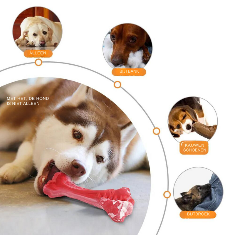 Tandverzorger voor Honden | Speelgoed | Tandverzorging | Speelplezier-Luzern Mode