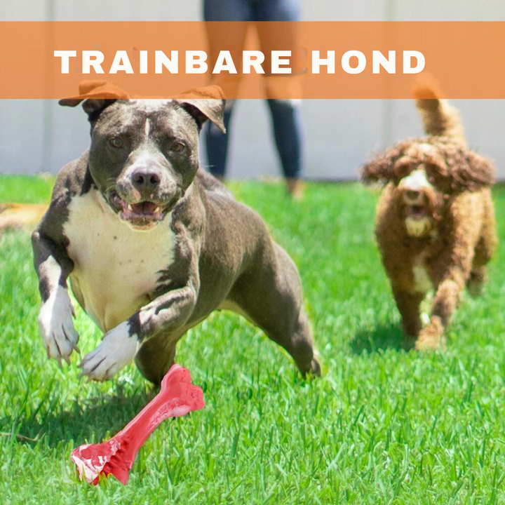 Tandverzorger voor Honden | Speelgoed | Tandverzorging | Speelplezier-Luzern Mode