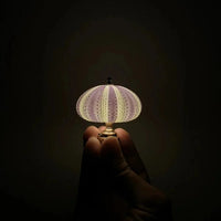 Nachtlampe | Selbermachen | Seeigel | Knopfzellenbatterie | Druckknopf-Luzern Mode