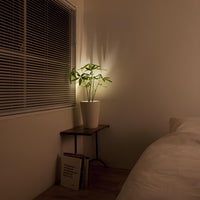 LED-Spotlight | Klein | Wiederaufladbar | Kabellos | Fernbedienung-Luzern Mode