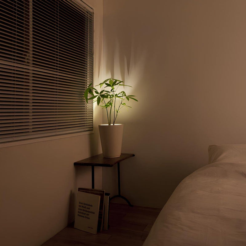 LED-Spotlight | Klein | Wiederaufladbar | Kabellos | Fernbedienung-Luzern Mode