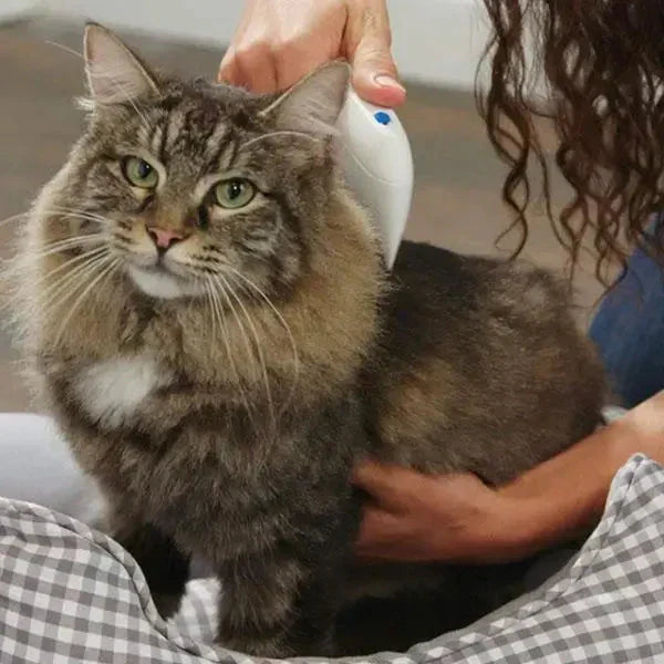 Flohkamm | Elektrisch Vielseitig Schmerzlos Stressfrei Langlebig-Luzern Mode